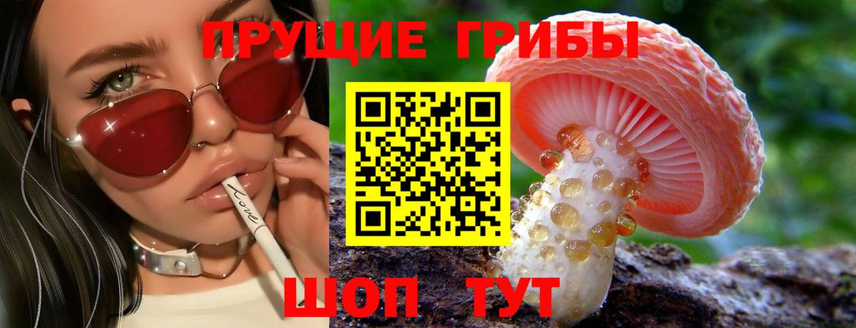 сколько стоит  Галлюциногенные грибы прущие грибы  Благодарный  Вход с VPN  Галлюциногенные грибы Magic Shrooms 
